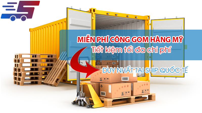Dịch vụ gom hàng Mỹ ship về Việt Nam tiết kiệm tối đa chi phí
