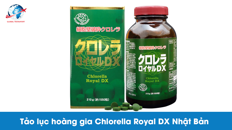 tao-luc-chloella-royal-dx-nhat-ban